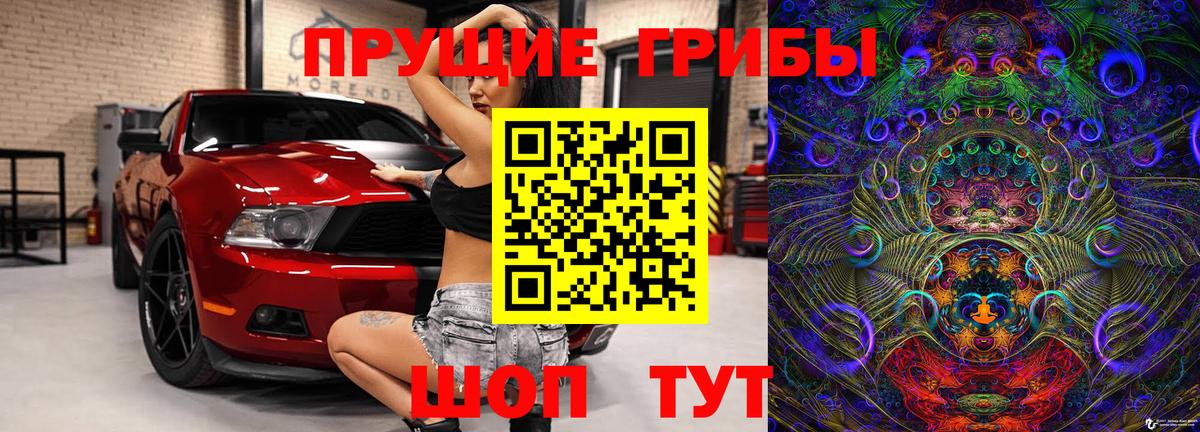 Балтийск  Галлюциногенные грибы GOLDEN TEACHER  наркошоп  Вход с VPN 