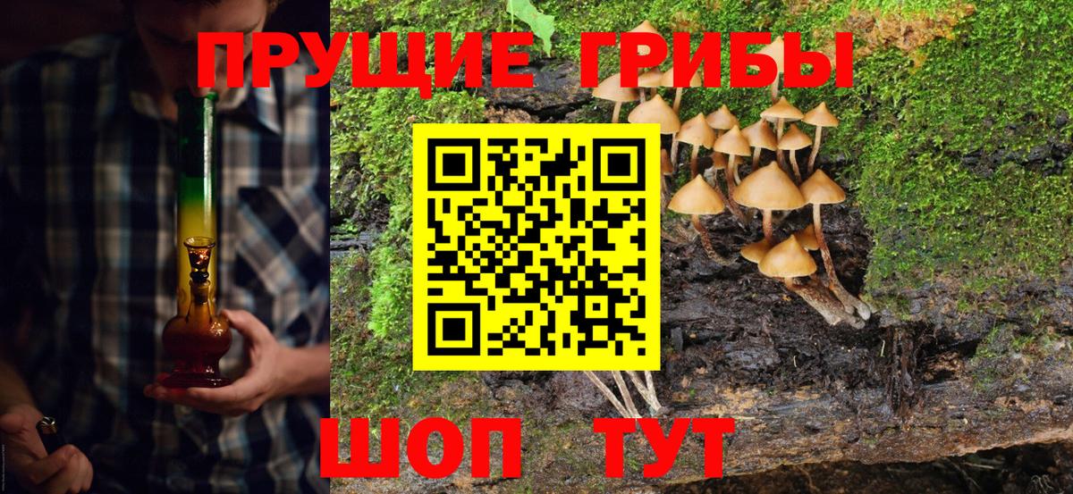 Галлюциногенные грибы мицелий Балтийск